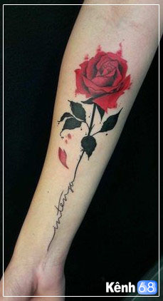 Hình xăm hoa hồng ở tay, bắp tay, bàn tay, cánh tay đẹp 006