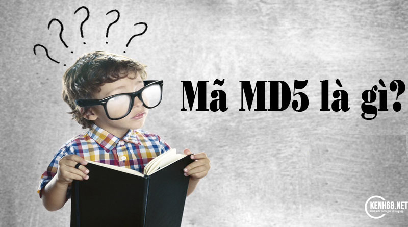 Mã MD5 là gì? Cách kiểm tra mã MD5 của 1 file chính xác