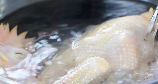 Cách luộc gà ngon không nứt - đổ nước lạnh sao cho phủ ngậm mặt thịt gà