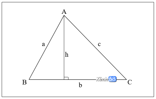cách tính diện tích tam giác thường