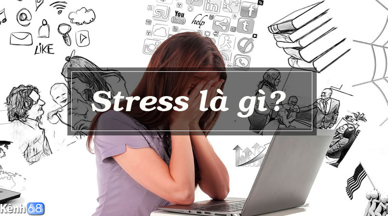 Stress là gì? 5 cách xả stress đơn giản và hiệu quả